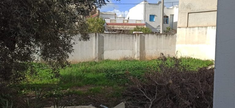 Duplex &agrave; oued ellil