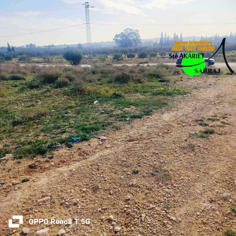 Deux terrains 488m et 320m &agrave; sidi ameur sahline