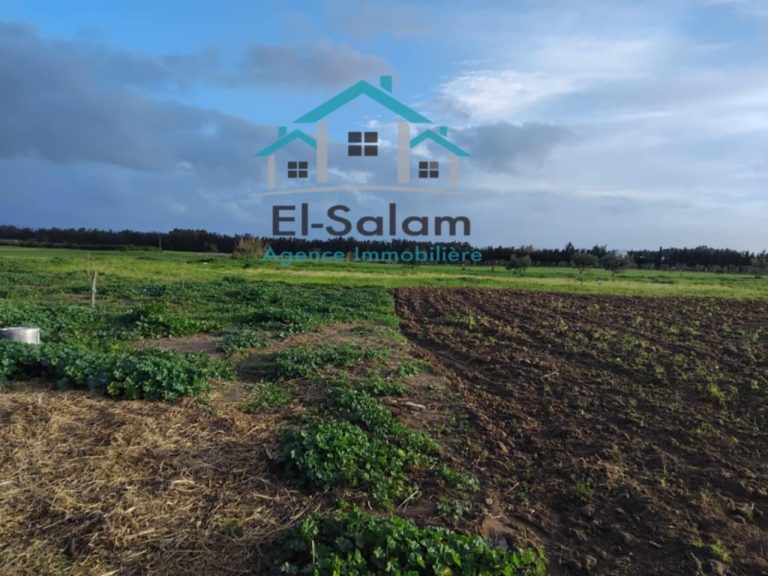 6000m2 avec un studio arabres olives
