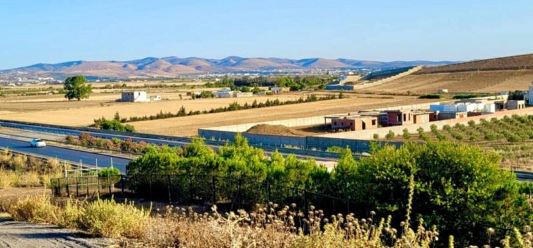 Lot de 262m2 sont titr&eacute;