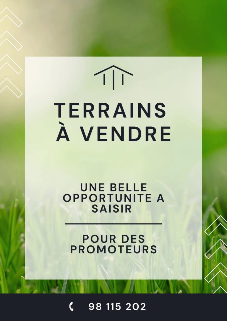 Terrain pour des promoteurs au jardin del menzah