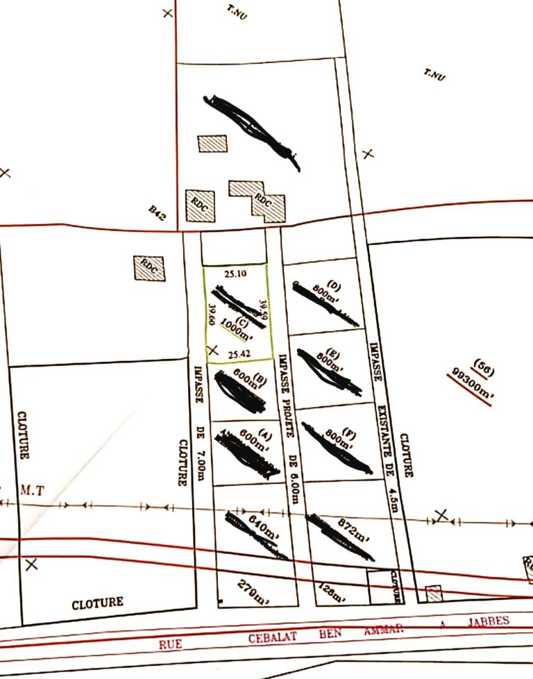 Terrain &agrave; sabelet ben ammar route jabbes