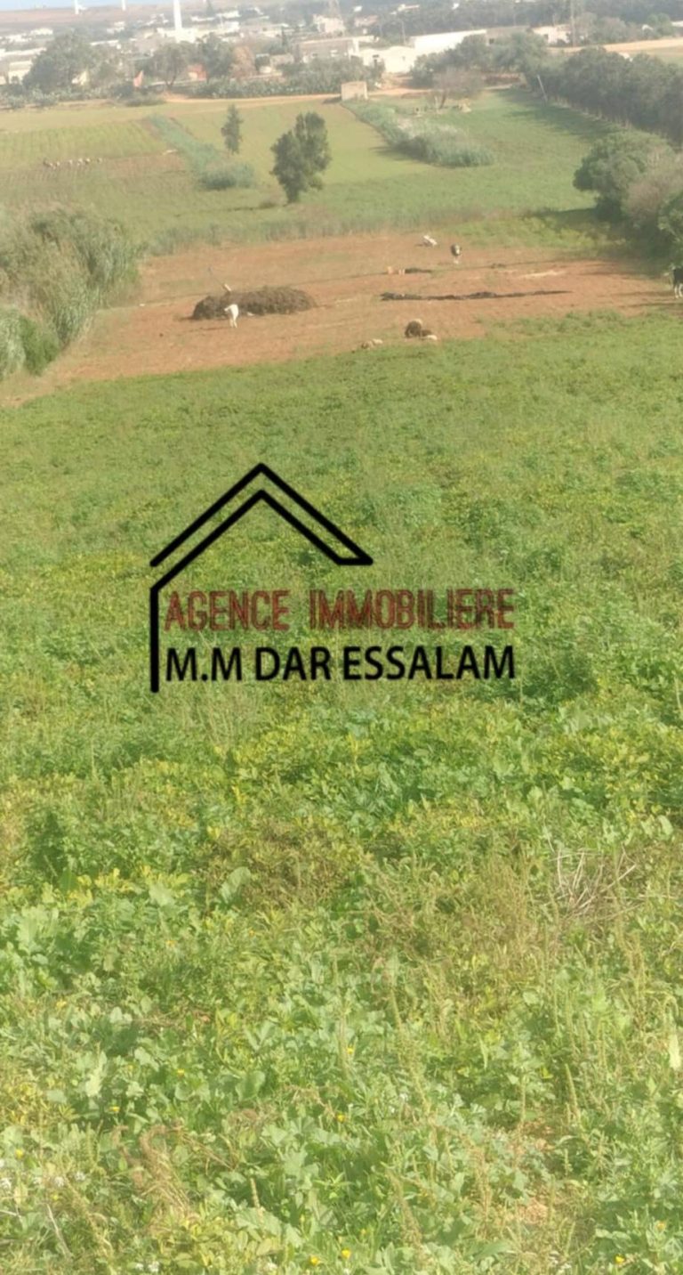 Terrain agricole&agrave; beni khira