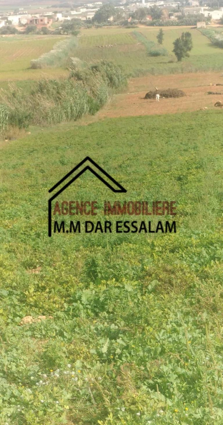 Terrain agricole&agrave; beni khira