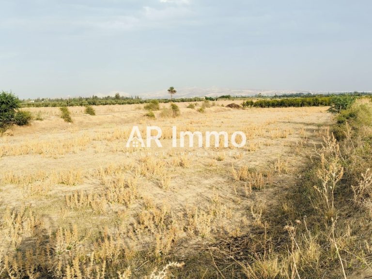 Lots de terrains &agrave; jedaida