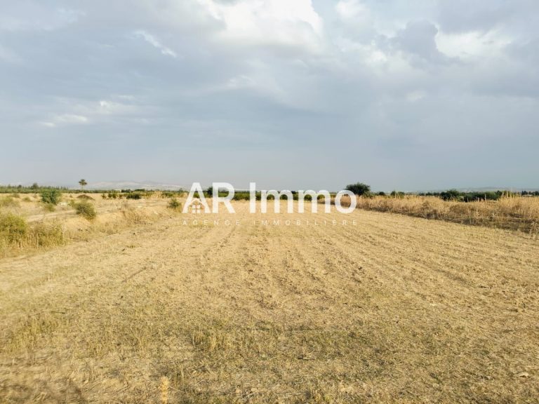 Lots de terrains &agrave; jedaida