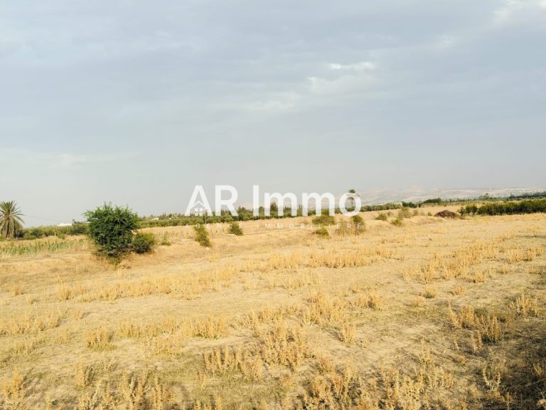 Lots de terrains &agrave; jedaida