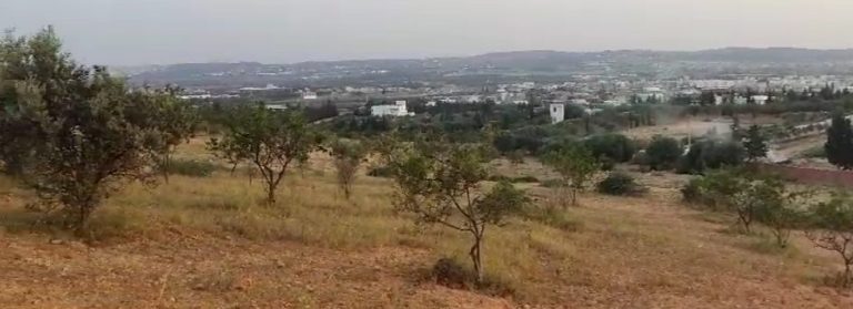 Terrain &agrave;oued lill devant el palazzo