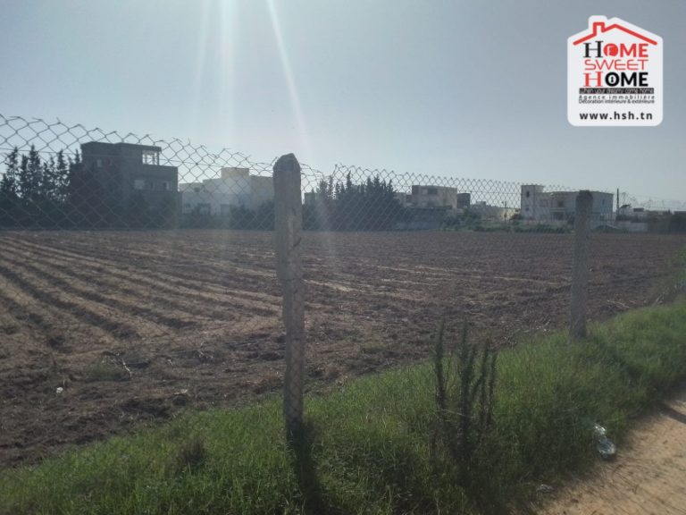 Terrain de villa vallon &agrave; beni khaled nabeul