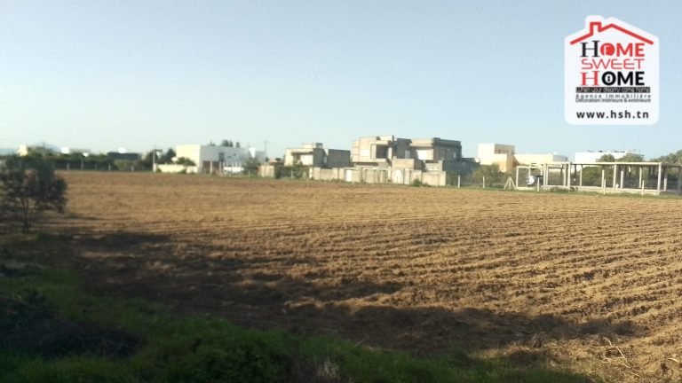 Terrain de villa vallon &agrave; beni khaled nabeul