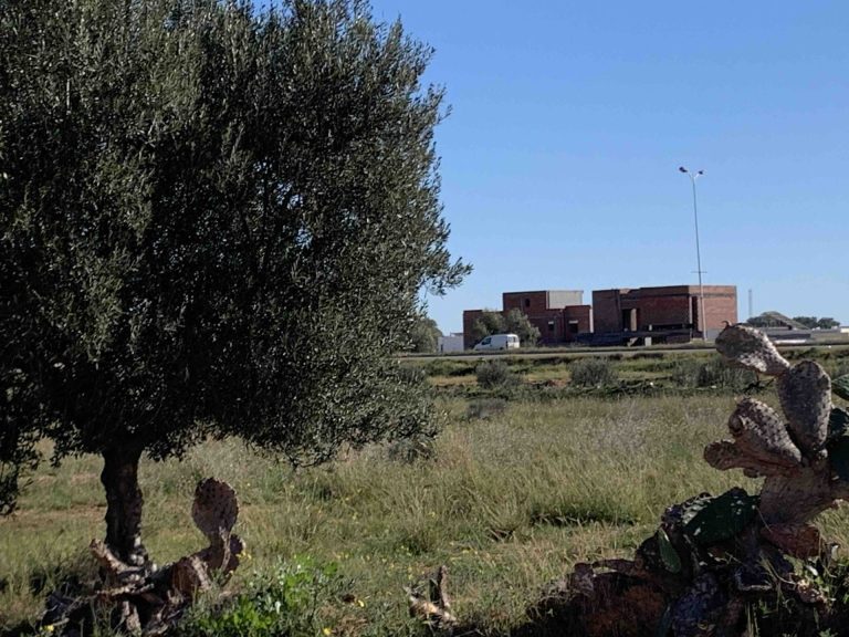 Terrain nu de 902 m2