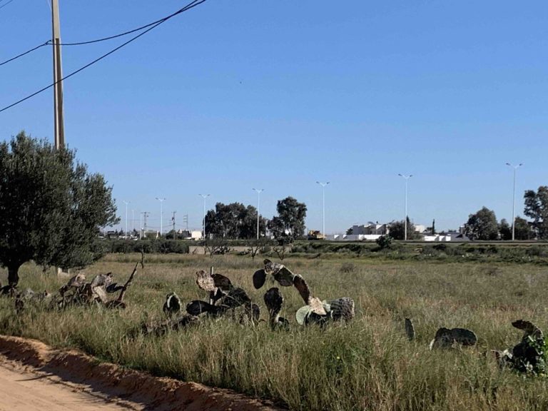 Terrain nu de 902 m2