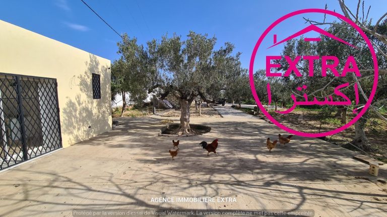 Ferme &agrave; dharoufa nabeul