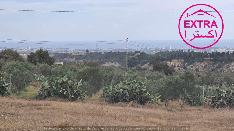 10eme campagne &agrave; el haouaria de nabeul