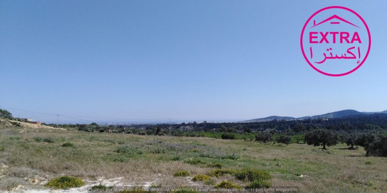 10eme campagne &agrave; el haouaria de nabeul