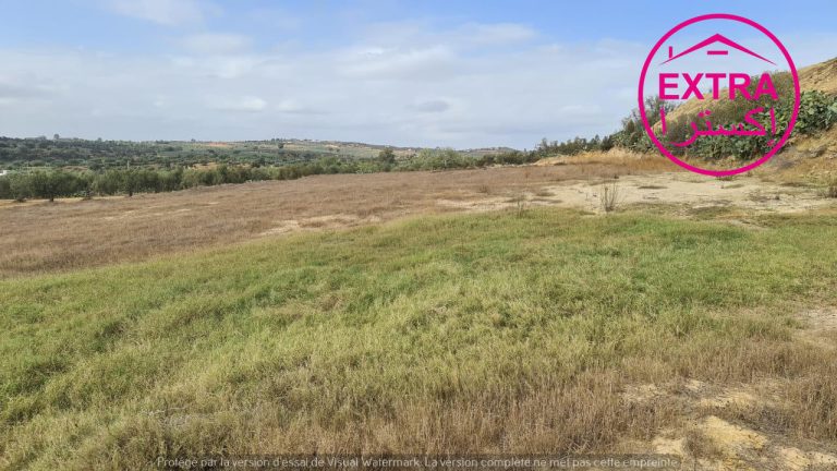 10eme campagne &agrave; el haouaria de nabeul