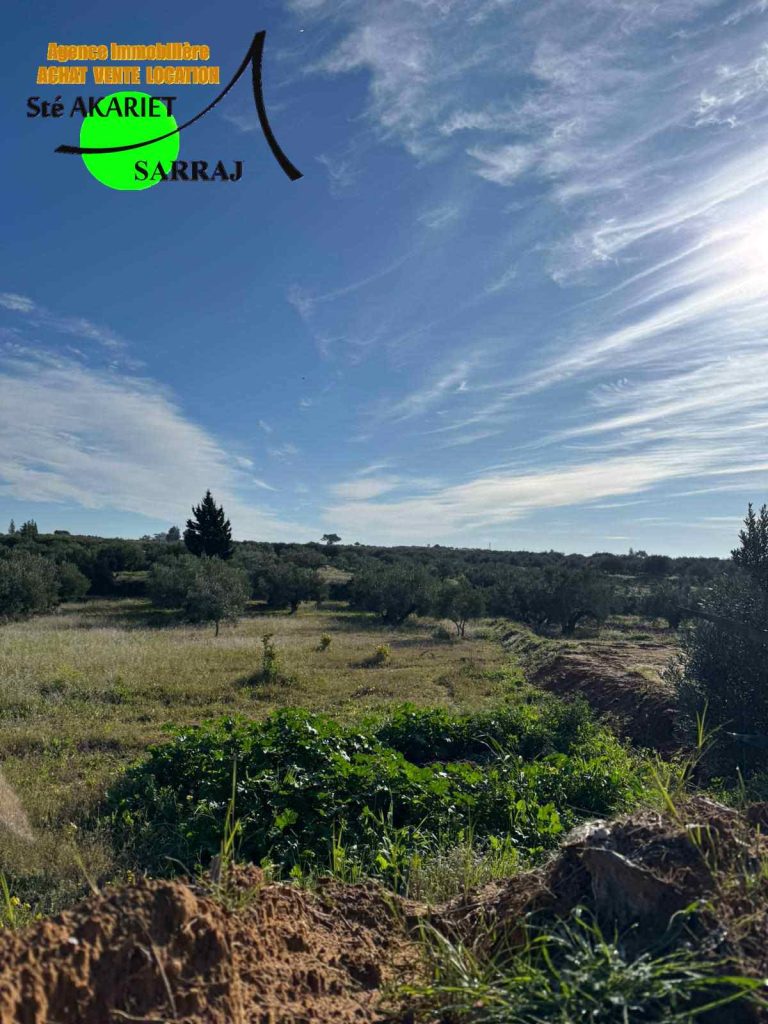 Terrain 7545m pr&eacute;s de usine de lait &agrave; sidi bouali