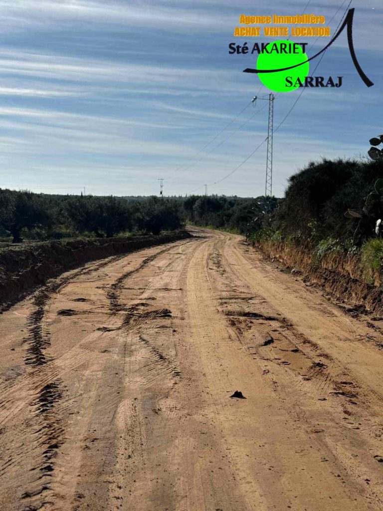 Terrain 7545m pr&eacute;s de usine de lait &agrave; sidi bouali