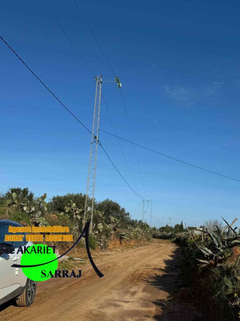 Terrain 7545m pr&eacute;s de usine de lait &agrave; sidi bouali