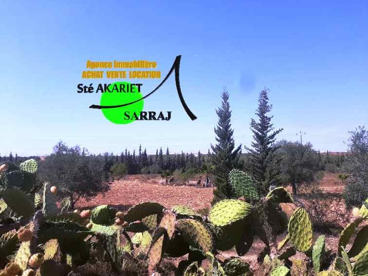 Deux terrains clotur&eacute; &agrave; sidi bouali vers knana