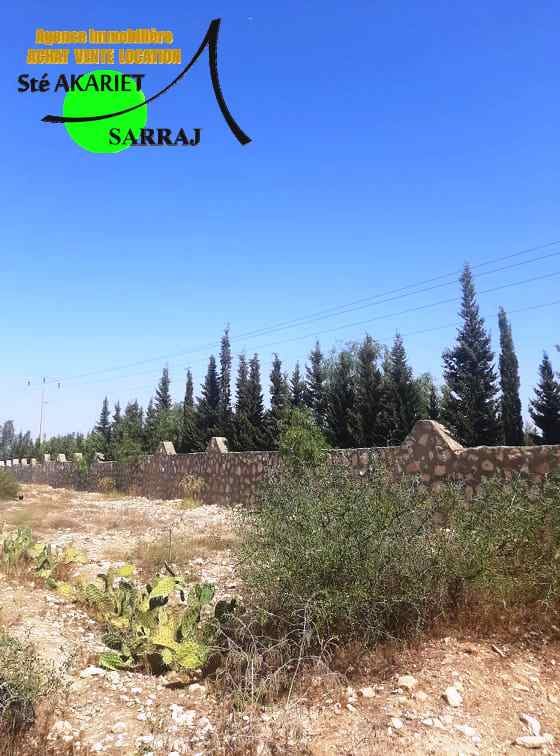 Deux terrains clotur&eacute; &agrave; sidi bouali vers knana