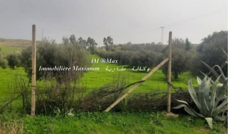 Senia 3 h sur route goudronn&eacute;e &agrave; borj el amri