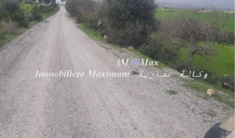 Senia 3 h sur route goudronn&eacute;e &agrave; borj el amri