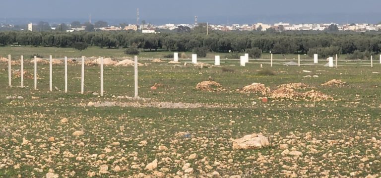 Terrain titr&eacute;