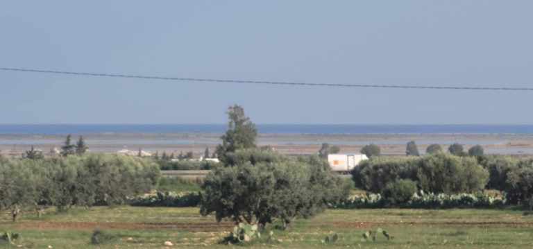 Terrain sont titr&eacute; de 500m2