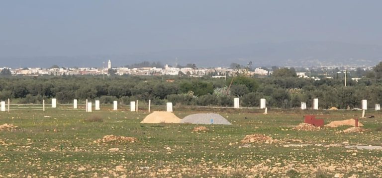 Terrain sont titr&eacute; de 500m2