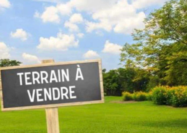 Lot de terrain ain zaghouen sud