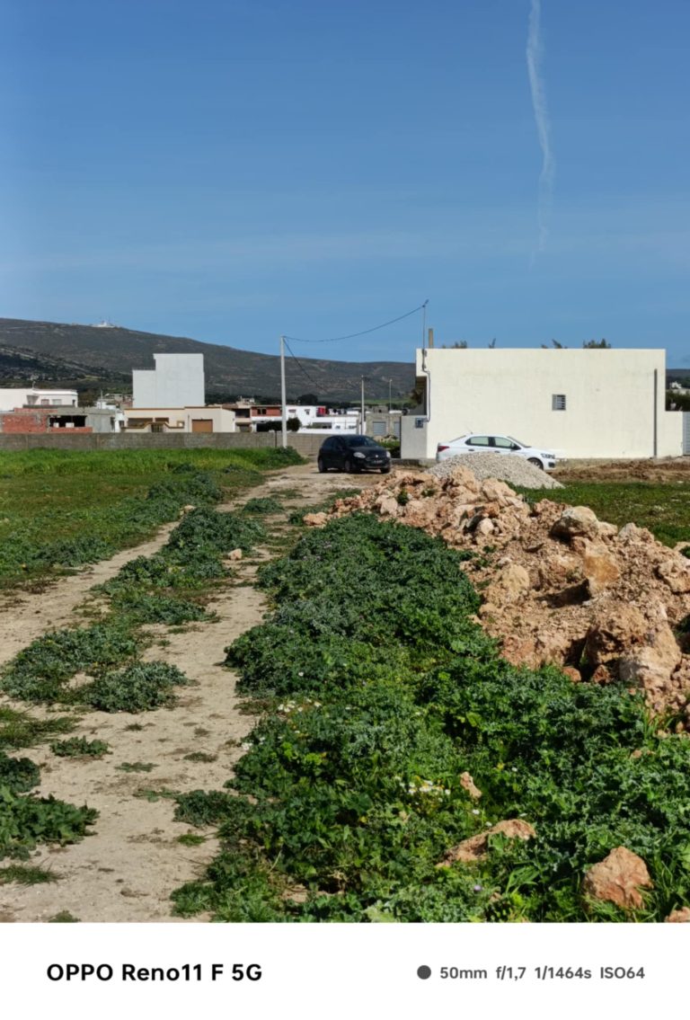 Des lots des terrains au centre ville el haouaria