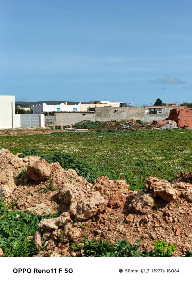 Des lots des terrains au centre ville el haouaria