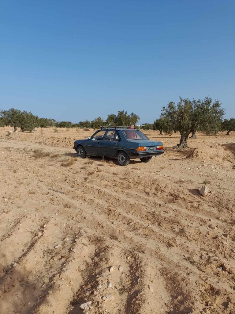 Terrain 3 822 m2 dis ben messaoud 4175 el may