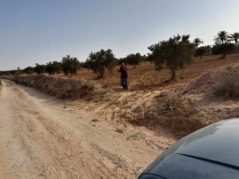Terrain 3581 m2 berbouch skala 4175 el may djerba