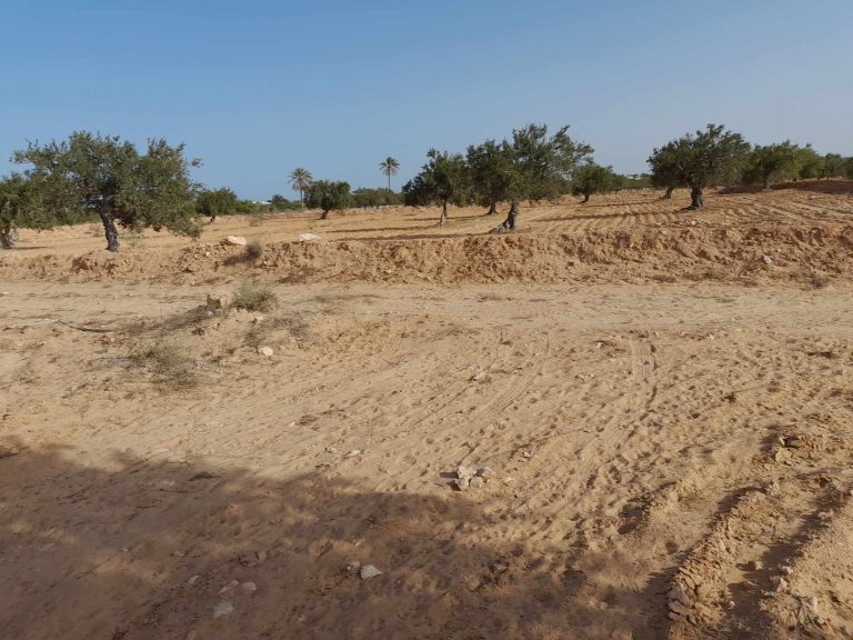 Terrain 3581 m2 berbouch skala 4175 el may djerba
