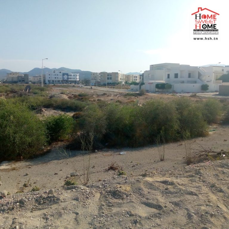 Terrain riss &agrave; borj cedria