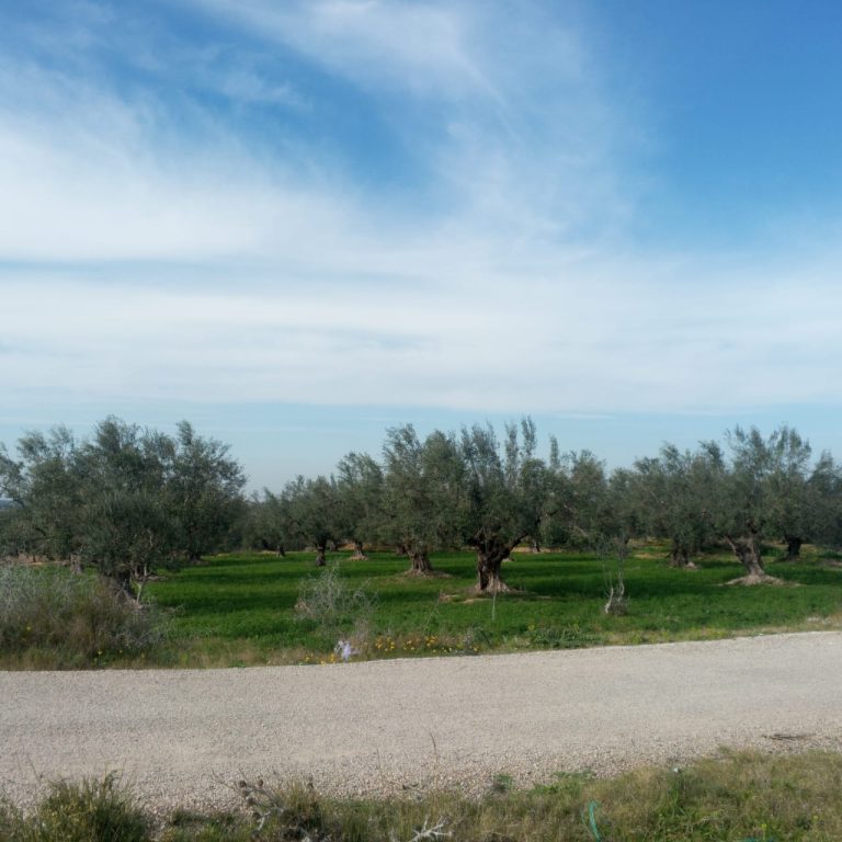 Terrain titre blue individiel sur route goudronn&egrave;e