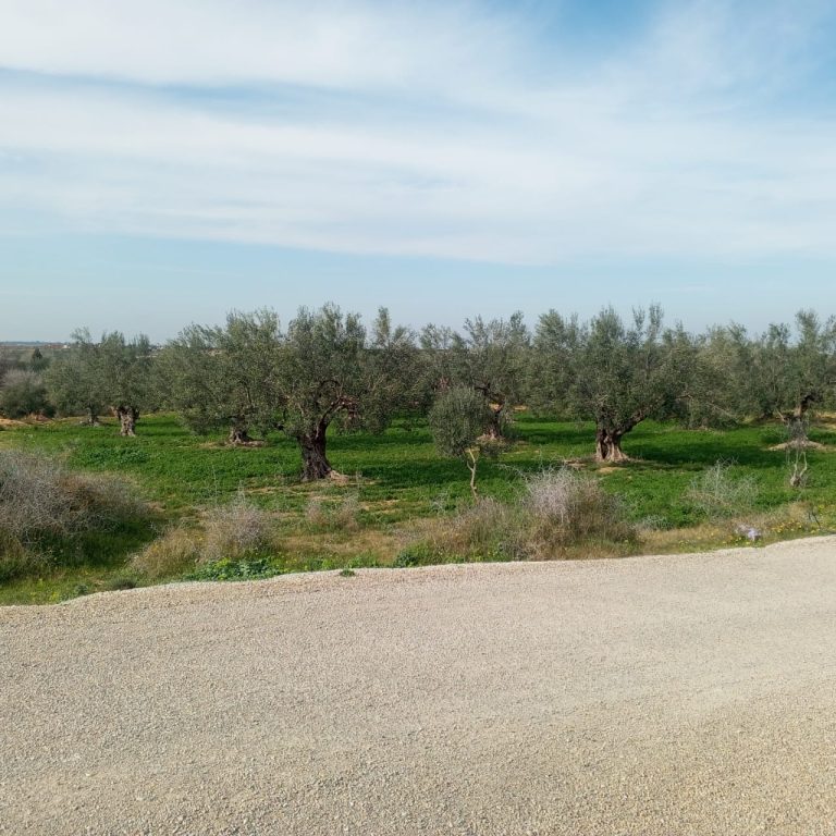 Terrain titre blue individiel sur route goudronn&egrave;e