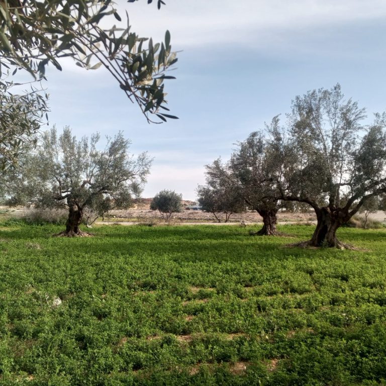 Terrain titre blue individiel sur route goudronn&egrave;e