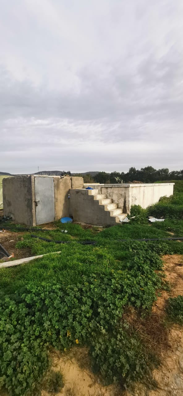 Ferme &agrave; menzel bouzelfa