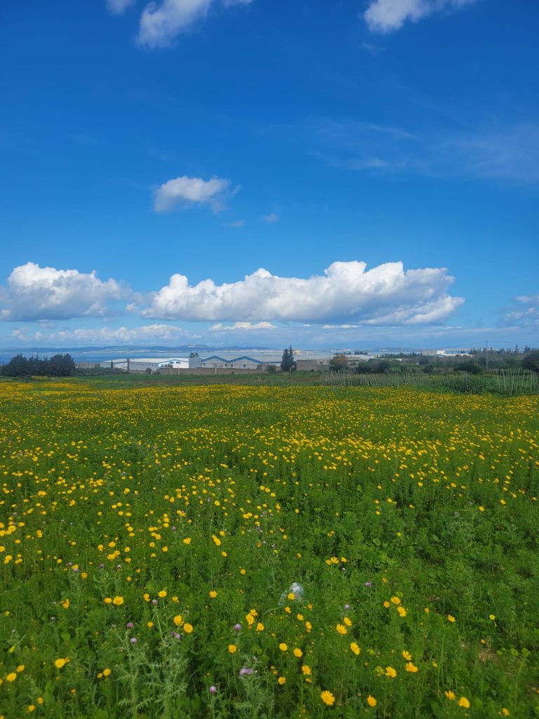 Terrain agr&eacute;able vu sur mer