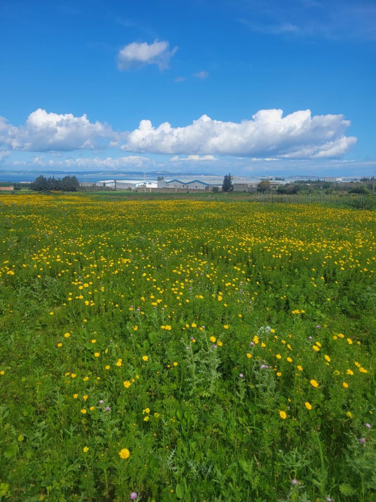 Terrain agr&eacute;able vu sur mer