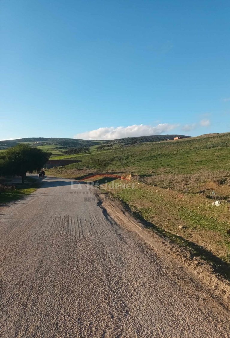 Terrain &agrave; beni meselem bizerte