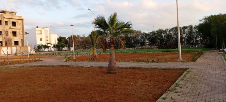 Terrain viabilis&eacute; &agrave; raoued