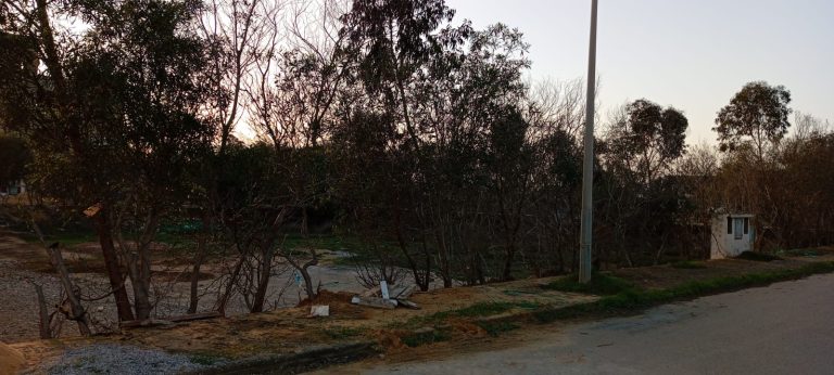 Terrain viabilis&eacute; &agrave; raoued