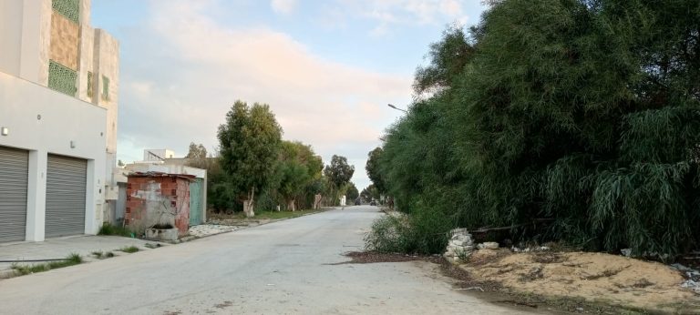 Terrain viabilis&eacute; &agrave; lotissement les flamants roses