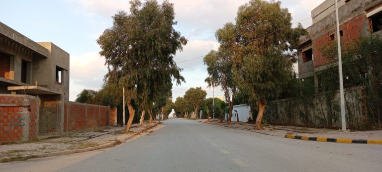 Terrain viabilis&eacute; &agrave; lotissement les flamants roses