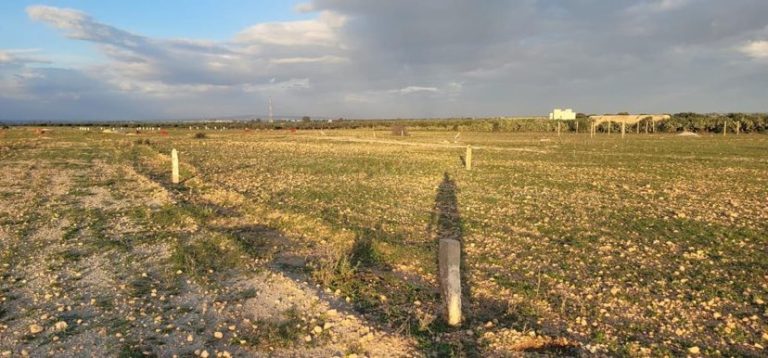Offre speciale de 150 metre carré