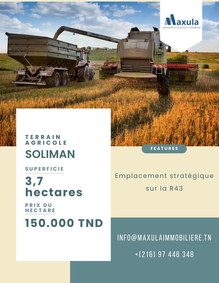 Terrain agricole de 37627m a soliman